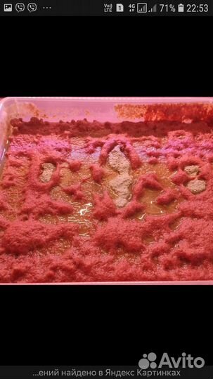 Трубочник Изя