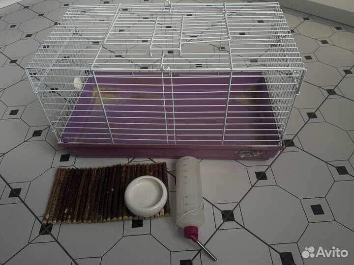 Клетка для грызунов, морской свинки, кролика