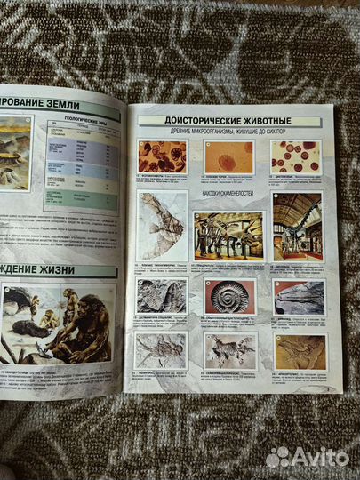 Мир живого Edis заполненный альбом