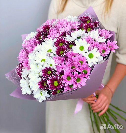 Хризантема кустовая опт