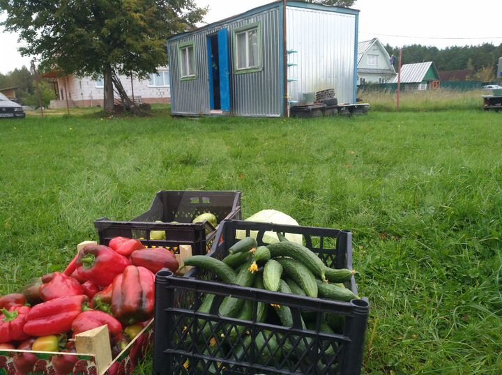 Участок 15 сот. (ИЖС)