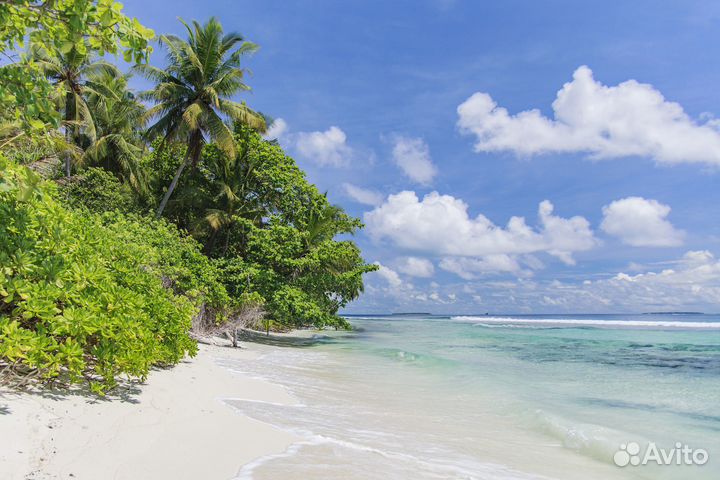 Мальдивские острова для всей семьи с перелетом