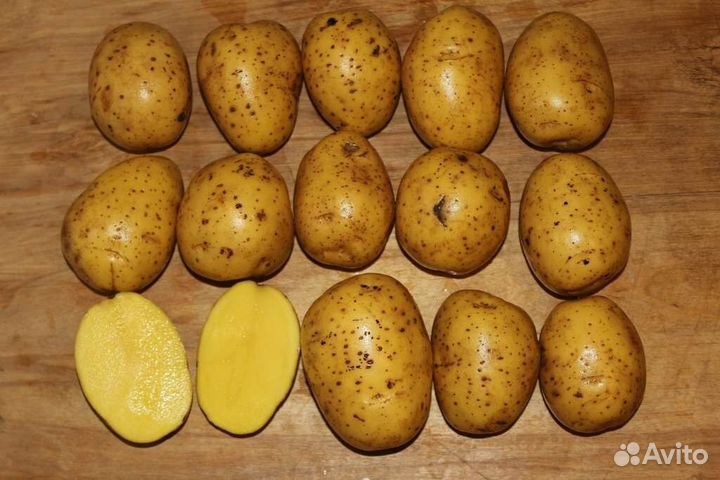 Продам картофель домашний