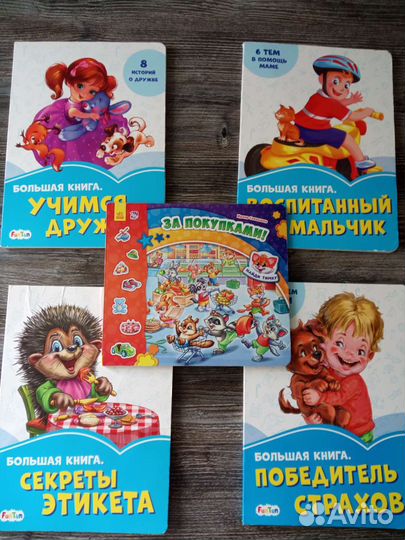 Бронь Серия Большие книги Ирины Солнышко