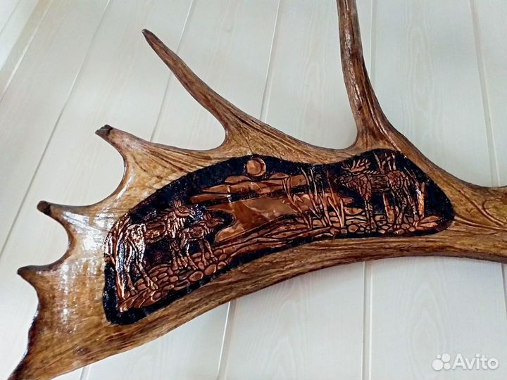 Чучело,рога