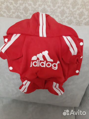 Одежда для собак мелких пород