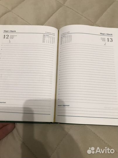 Ежедневник Таможня