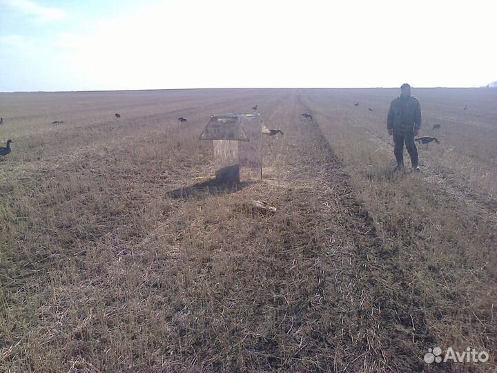 Зеркальный скрадок