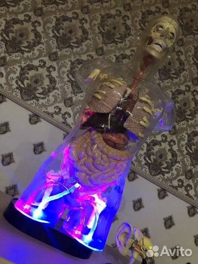 Тело человека коллекция