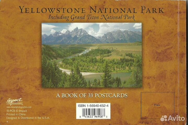 Yellowstone national park