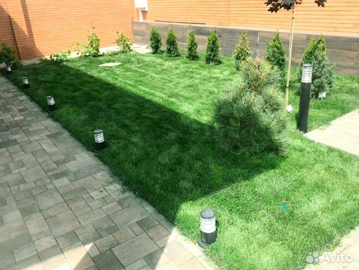Рулонный газон