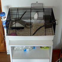 Клетка с колесом