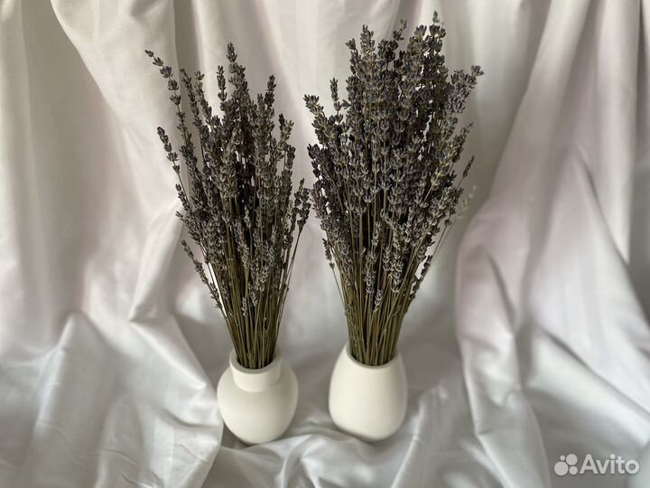 Лаванда/Сухоцветы