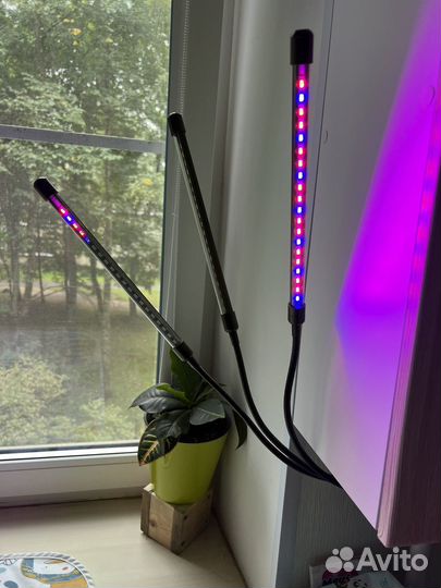 Фитолампа для растений светодиодная