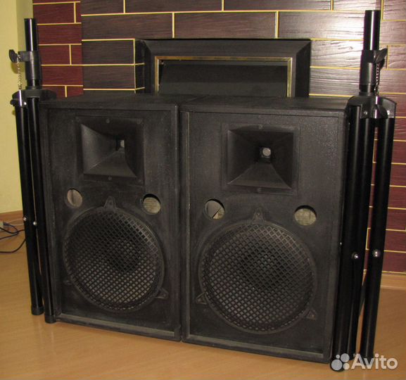 Колонки Frank Audio 1000W Pro D12