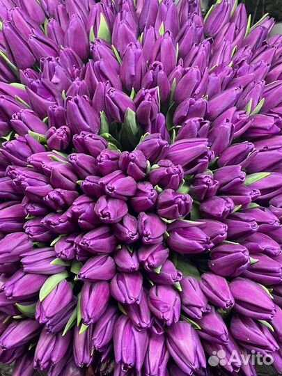 Живые цветы букеты