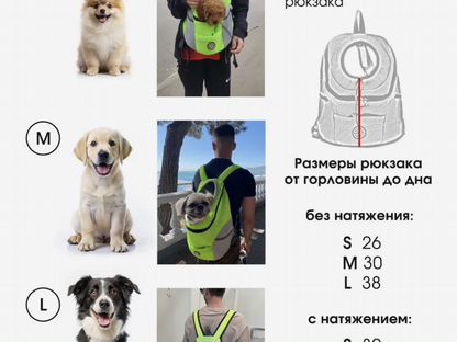 Переноска для собак и кошек, Дружба