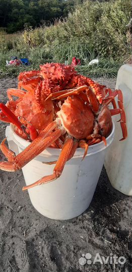 Туры на Камчатку, джип тур, экскурсии по Камчатке