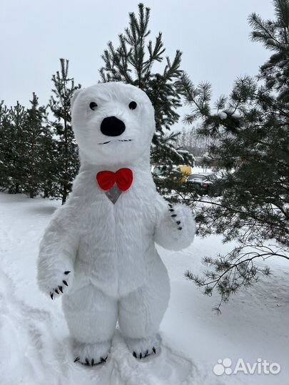 Организатор мероприятий