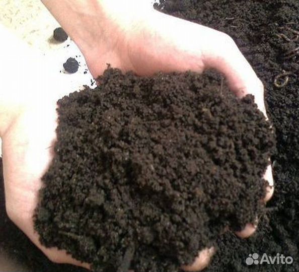 Навоз сыпец,верх слой чернозем камаз,газель,ЗИЛ 6Т