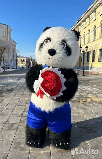 Бело черный мишка аниматор праздник