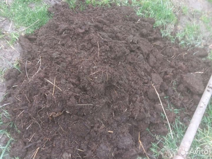 Продам коровий перегной