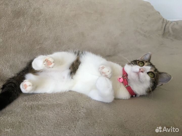 Малышка ищет дом