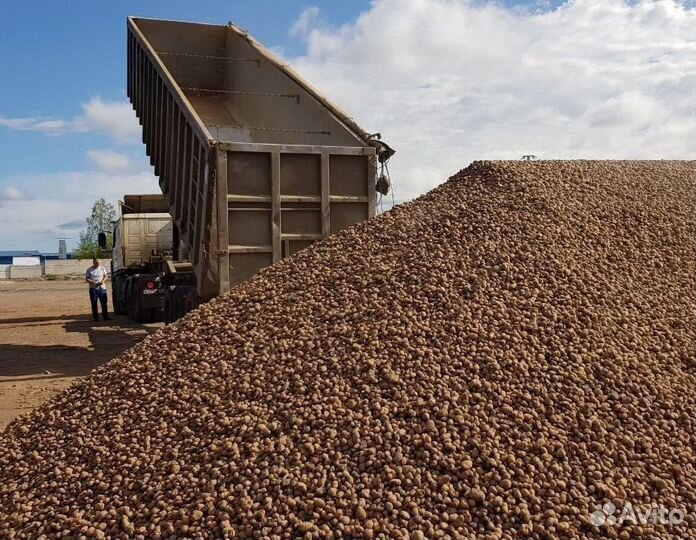 Гравий 5-20мм