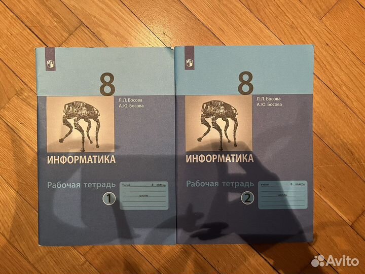 Рабочая тетрадь по информатике в 2х частях
