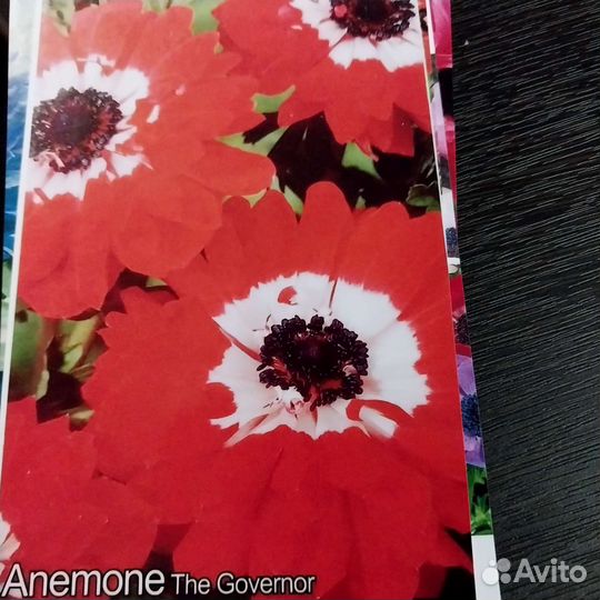 Анемоны