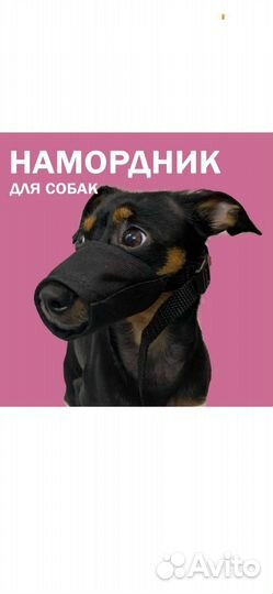 Новые поводки для собак, намордник