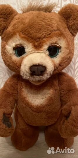 Руский мишка