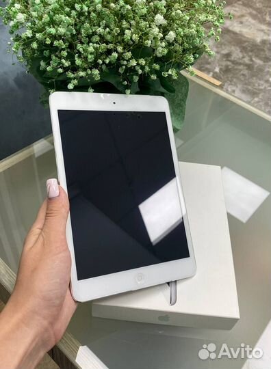 iPad mini 1