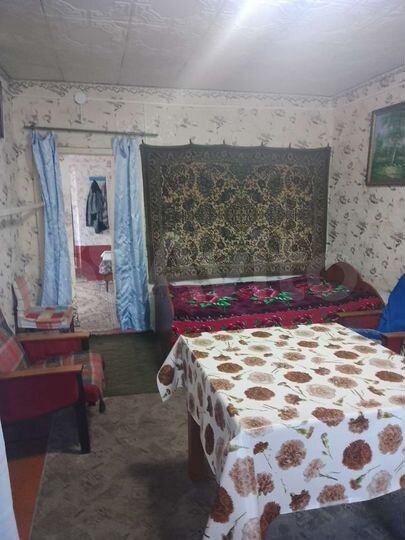 Дом 50 м² на участке 12 сот.