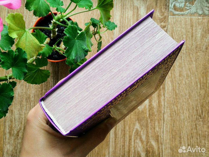 Приключения Тома Сойера&Гекльберри Финна Марк Твен