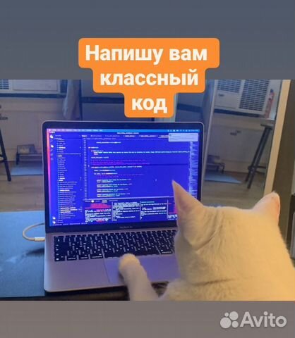 Разработка программ, приложений, сайтов