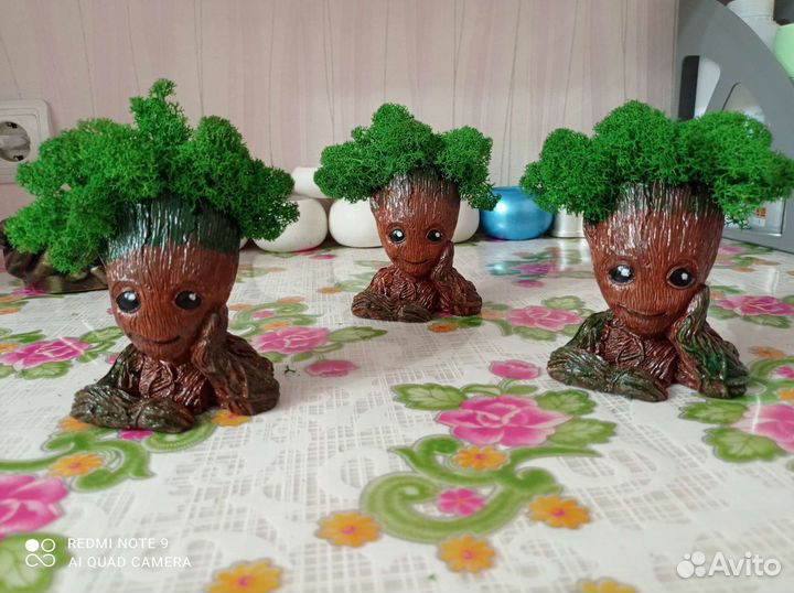 Кашпо со стабилизированным мхом 