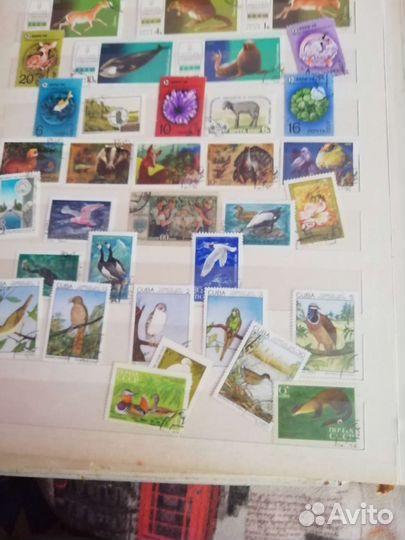 Почтовые марки СССР