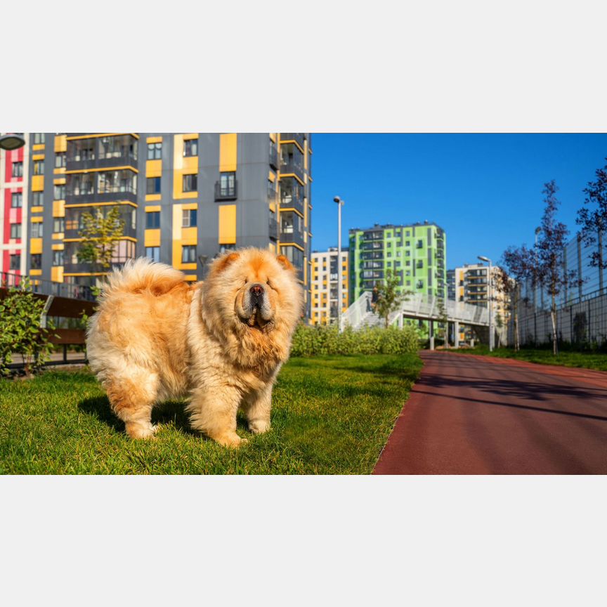 2-к. квартира, 56,3 м², 3/7 эт.