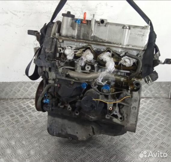 Двигатель Honda Civic 1.6 D16V1