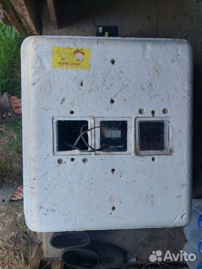 Инкубатор несушка