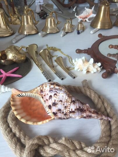 Кораллы Раковины Рында Звезды морские Сети и др