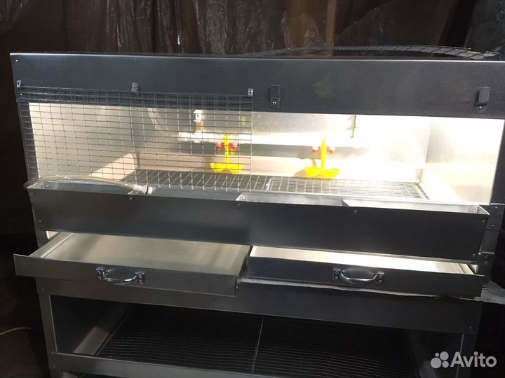 Брудер для цыплят, перепелят, индюшат