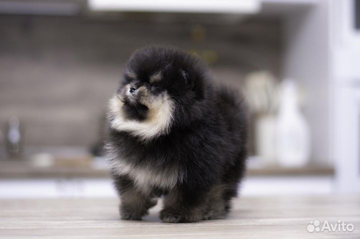 Милашка