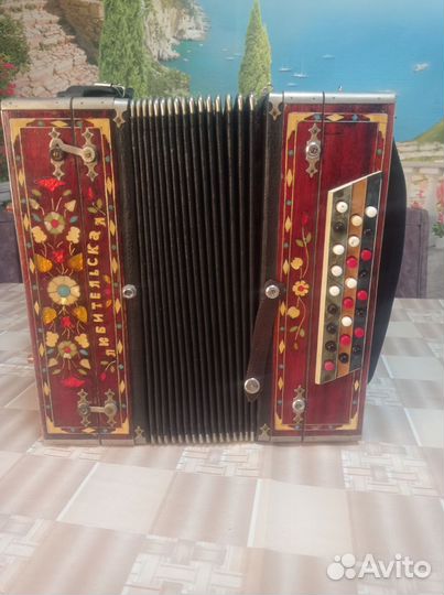 Гармонь любительская