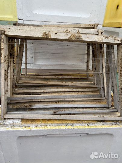 Пчелоинвентарь