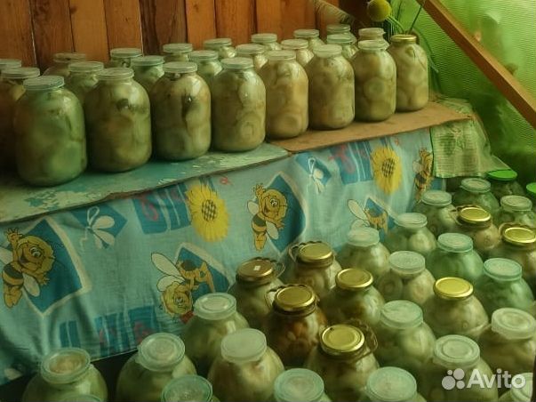 Грибы грузди соленые