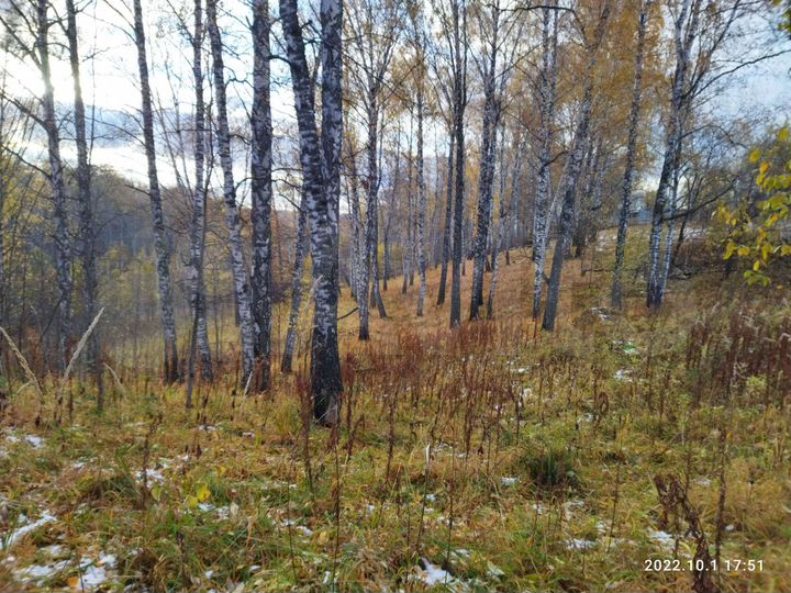 Участок 9 сот. (ИЖС)