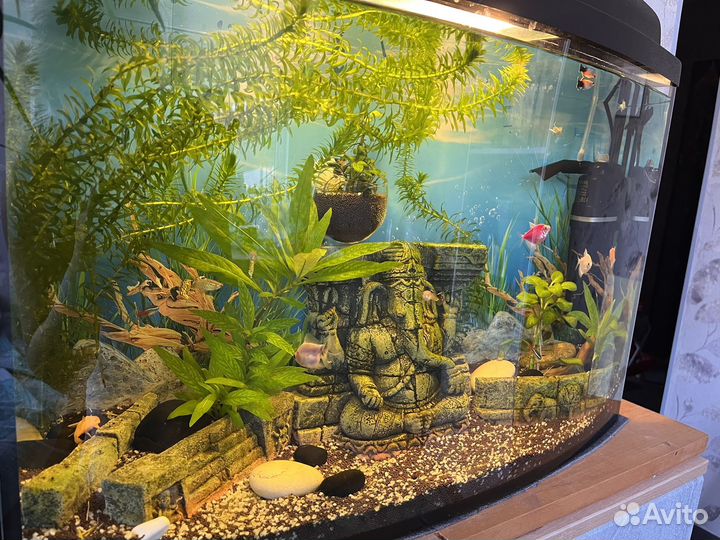Аквариум 45 литров