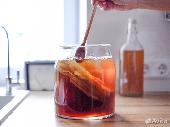 Чайный гриб